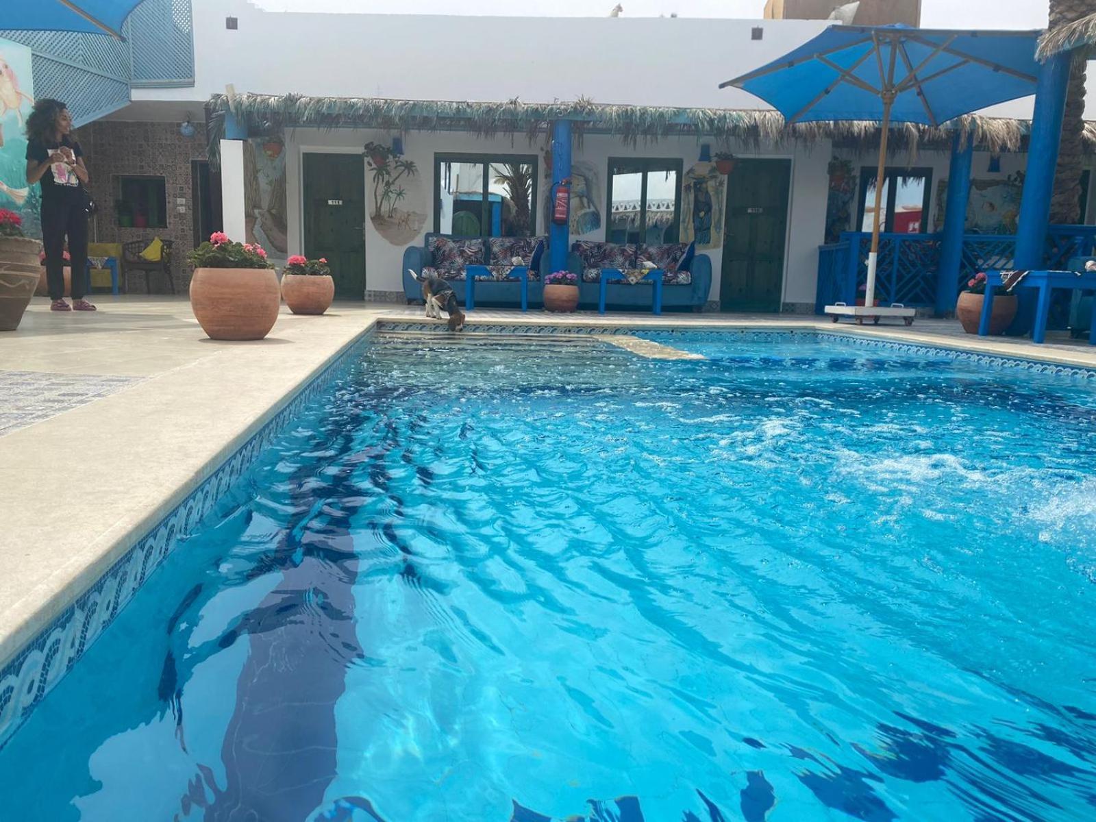 Chillax Dahab Hotel Ngoại thất bức ảnh